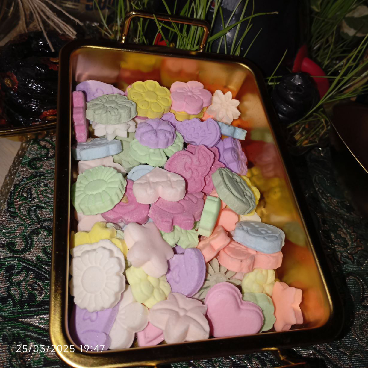 قندو نبات خانگی